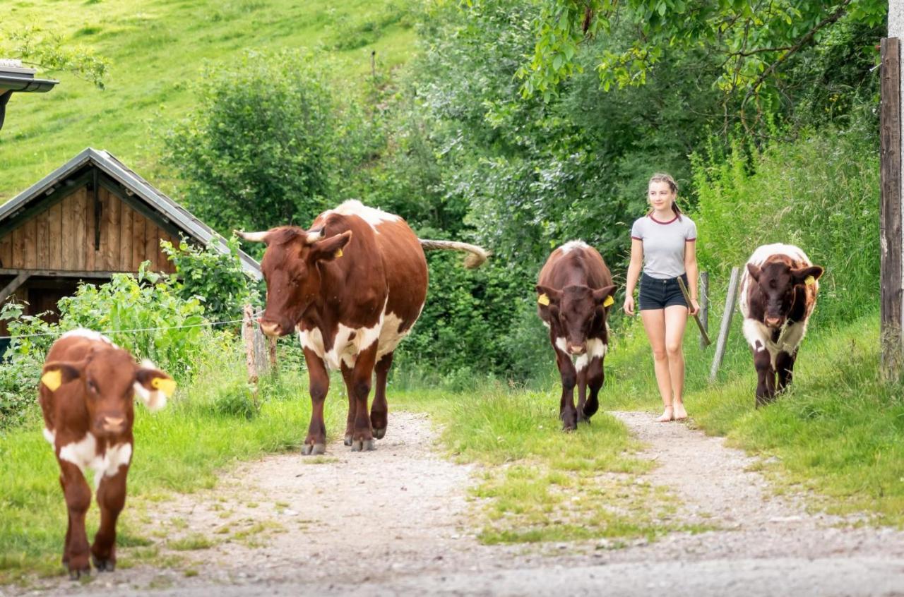 Apartmán Gasperhof Dellach  Exteriér fotografie
